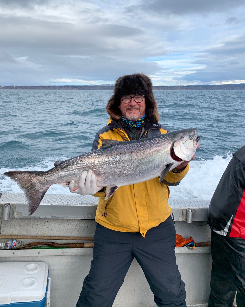 FishAlaskamag's tweet photo. Bruce Sink of Chandler, AZ, pulled this winter king out of #KachemakBay during a charter in early March 2019. #FishAlaska #fishing #Alaska https://t.co/82zc3zbaRZ