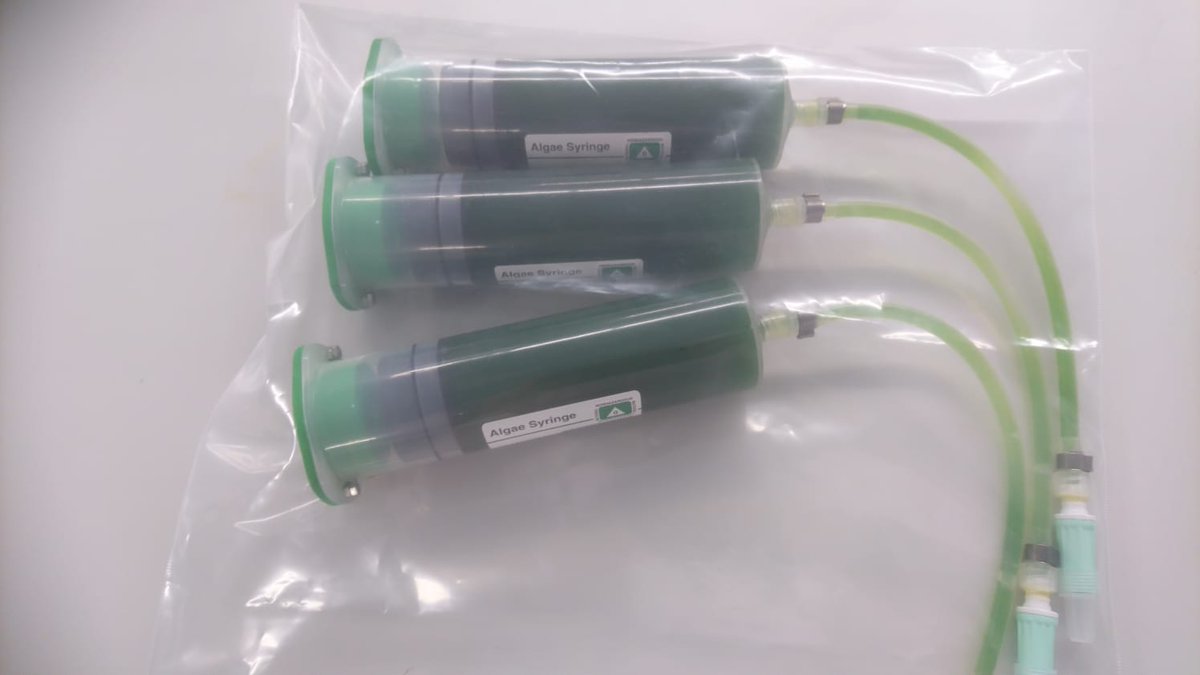 I have been waiting a couple of weeks... and finally the algae are in their new home! 😀