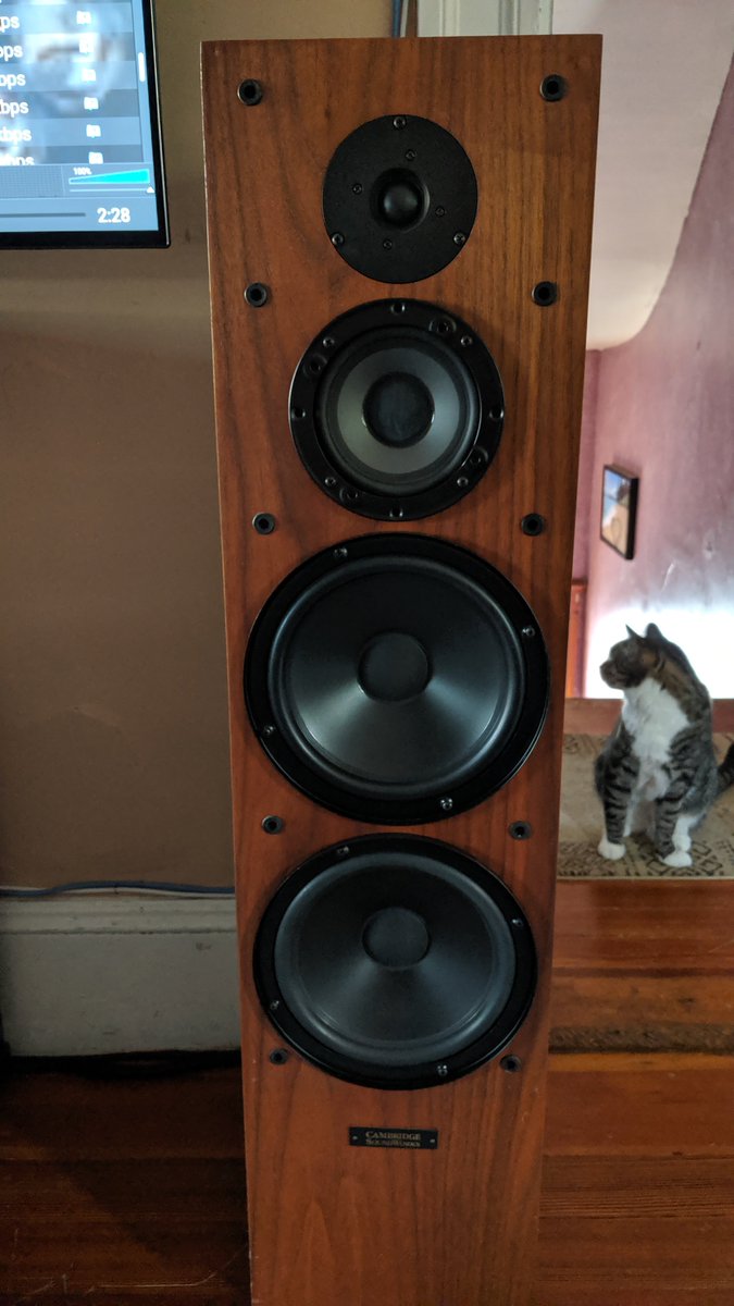 SpeakerWorkscom's tweet photo. Cat Proofing Speakers  https://t.co/giMsX6or3f
#Speakers #Audio #HomeStereo #HiFi #Cats #Pets #SpeakerGrills #SpeakerCovers #CoverSpeakers #ProtectSpeakers  #CatProof #CatProofing #PetProofing #ChildProof https://t.co/Sz5FKZ0Wjo