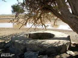 الشجر يموت عطشا....
 ولا ينحني للبئر
          
                كي يشرب
