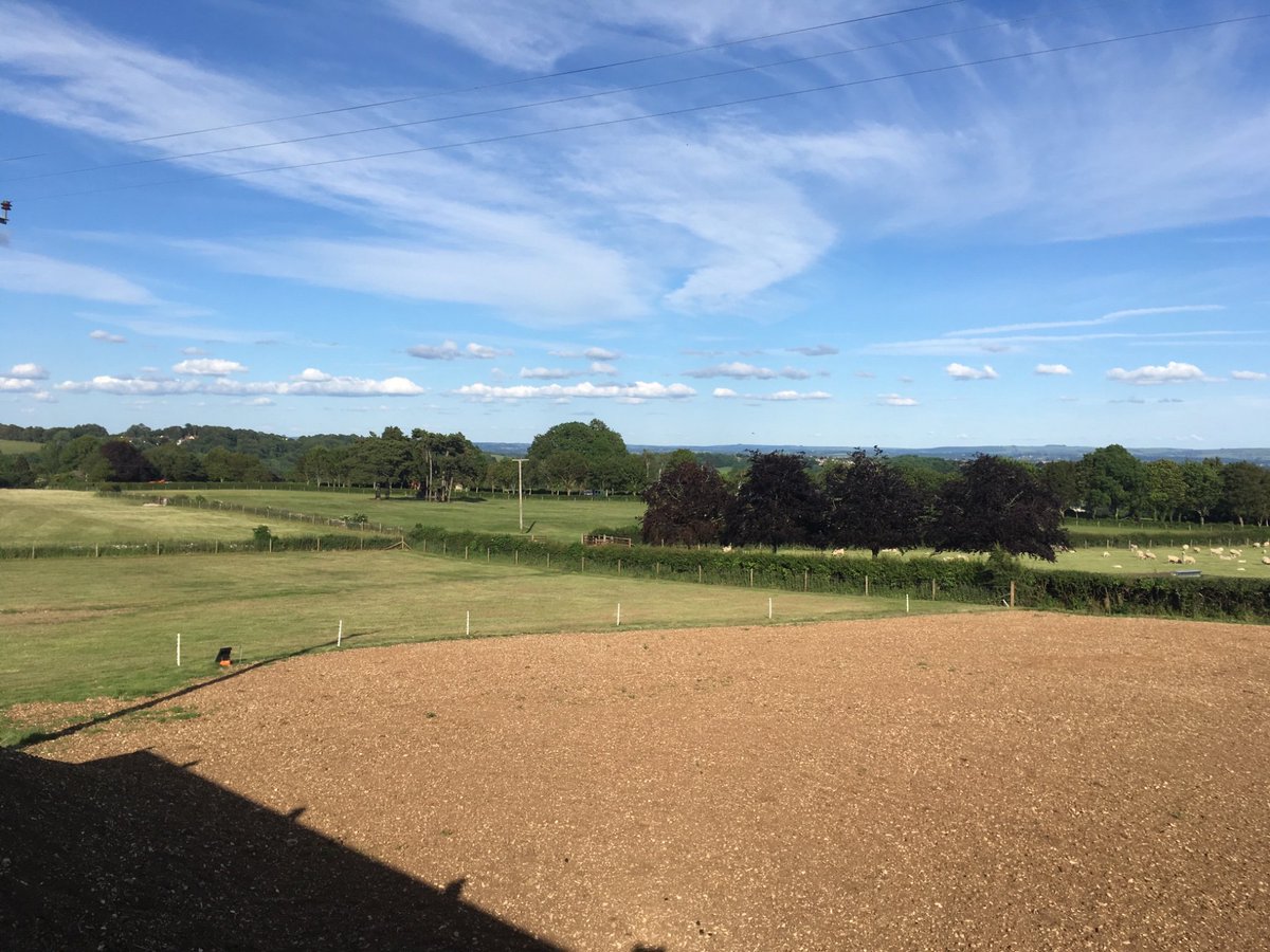 Harry Morgan tweet media