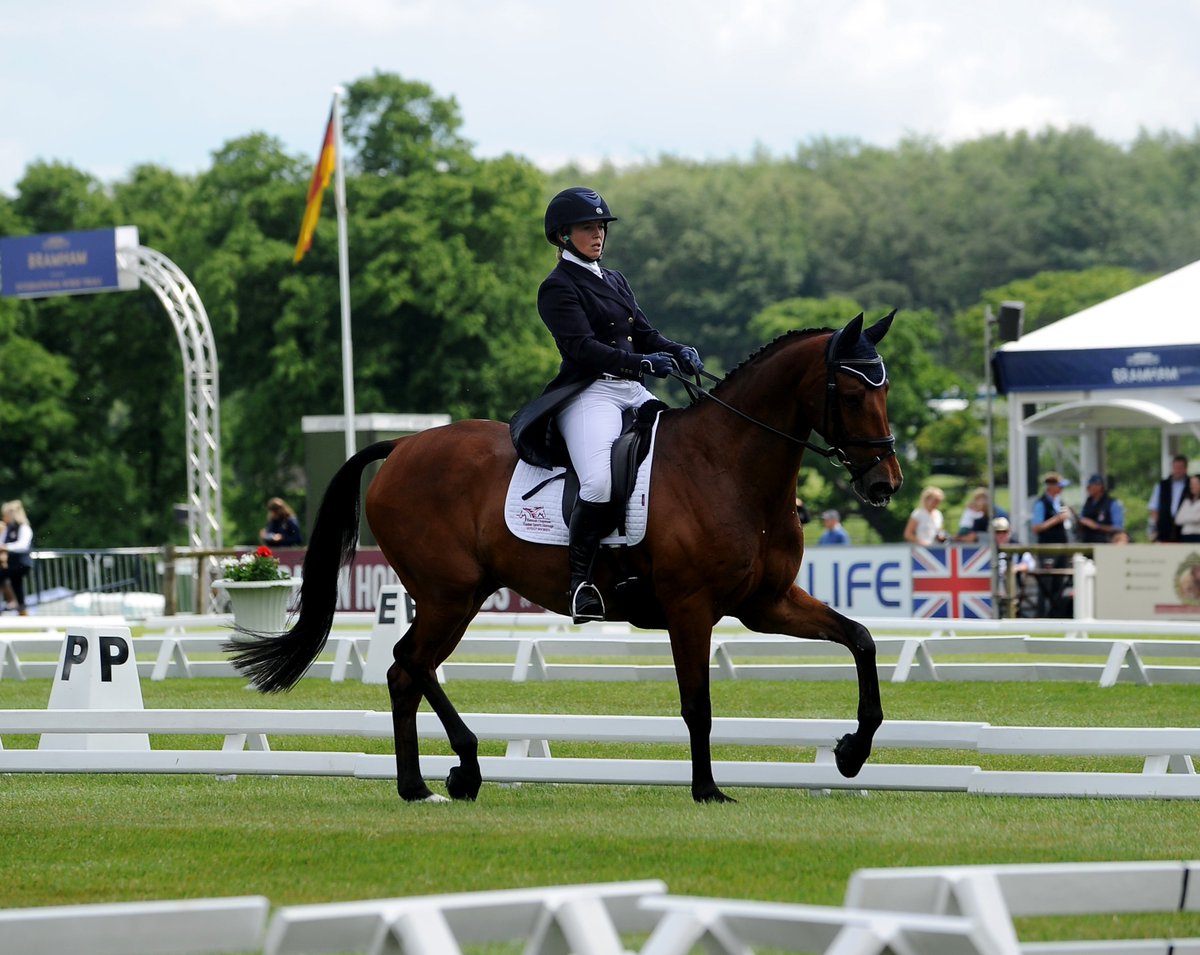 LeeSobotYEP's tweet image. Bramham 2019: Day 1 report - blue skies, tears of joy and say it quietly but Northallerton's very own @NWEventing looking good with dreams of 'Dublin' her @BramhamPark tally. Zara Tindall dressage test 9.45am Friday morning #EBHT 
yorkshirepost.co.uk/sport/more-spo… @yorkshirepost @BEventing