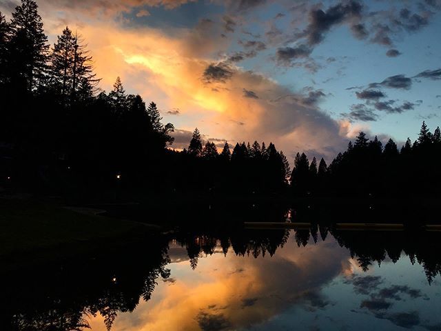 YLWoodleaf's tweet photo. He has made everything beautiful in its time // Ecclesiastes 3:11 https://t.co/UP6A9UobGa https://t.co/6Spsh0LC3x