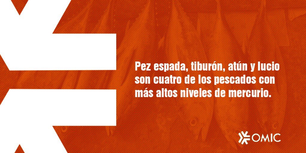 Comer pescado no solo es seguro, sino que es recomendable, pero se desaconseja un #consumo reiterado y habitual de estas especies, sobre todo, en aquellas casas donde habiten menores de nueve años y mujeres embarazadas. | #alimentación