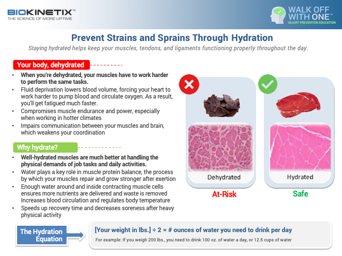 biokinetix's tweet photo. When you're dehydrated, your muscles have to work harder to get you where you need to go. Remember to hydrate well and frequently, especially if working under hotter conditions! #hydration #NationalSafetyMonth https://t.co/AnMIAVwQcD