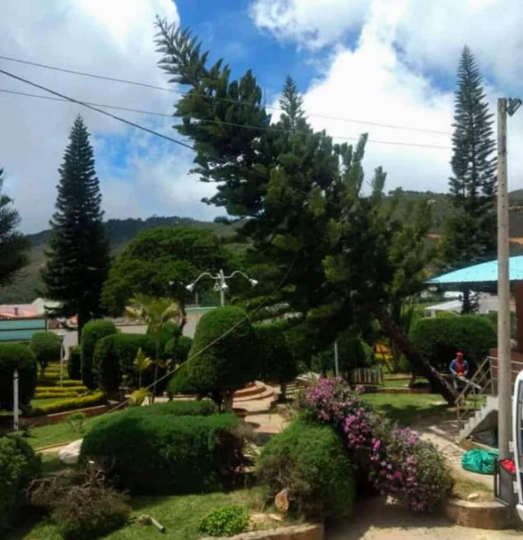 Victor Rueda tweet media