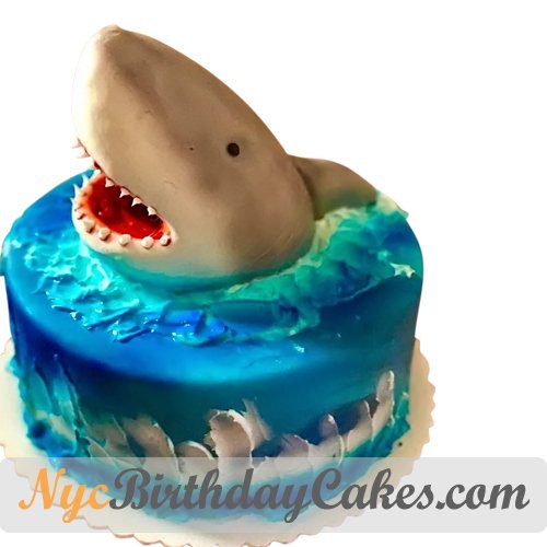 NycCakes's tweet photo. Ocean Shark Cake
https://t.co/AfcFlhrIzf

#FivePoints #Chelsea #NYC #NYCcakes #cake #cakes #birthdaycake #customcakes #photocake #NewYorkBirthdayCakes #NYCBirthdayCake #NewYorkCakeShop #custombirthdaycake #kidscake #childrenscake #fondant #buttercream #cakedecorating #shark https://t.co/3qyvo0vLOD