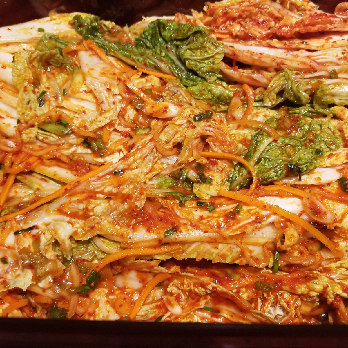 BowtieButcher's tweet photo. Napa cabbage #kimchi 

#cabbage #koreanfood #fermented #fermentedfoods #fermentationscience #kimchifordays https://t.co/qbWe1H69zc