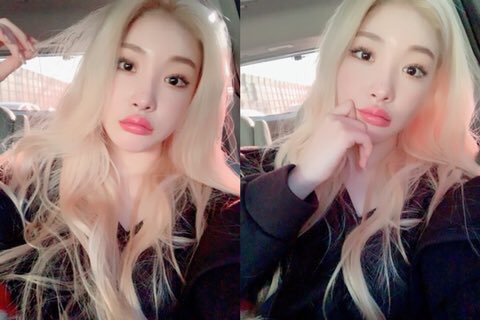 chunghaarchive's tweet photo. SHES BLONDE https://t.co/ncdXdyfIxt