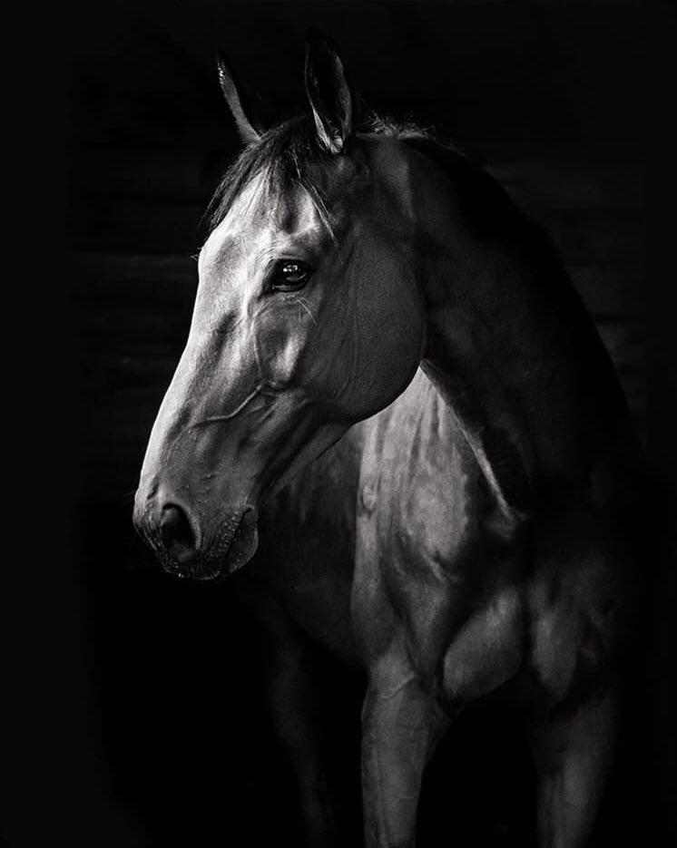 Mes vacances se passent super bien ! Je serai de retour en pleine forme à l’automne 😉