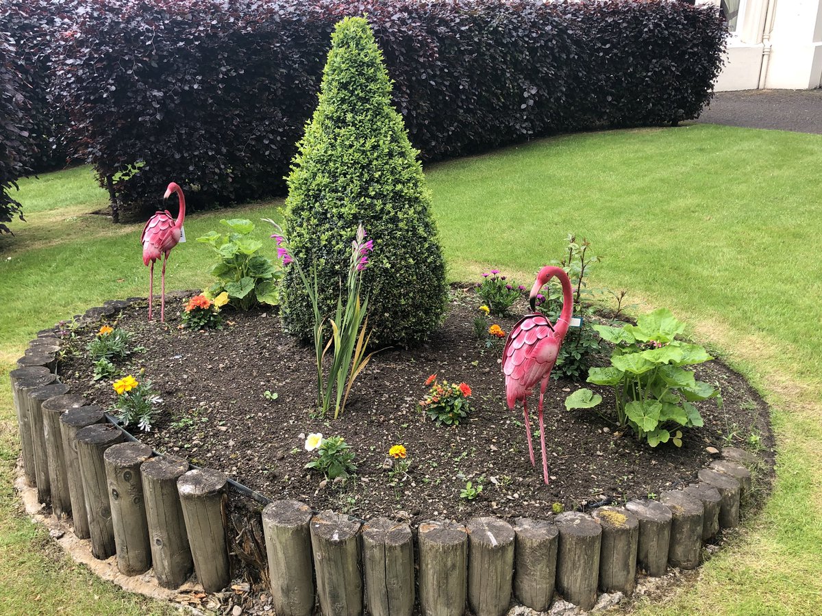 EmmaRob69595857's tweet photo. Fabulous purple themed garden party @BalhousieCare Moyness today. Thank goodness for a bit of sunshine ☀️ residents loved their time outdoors. https://t.co/e8wv1toK3G