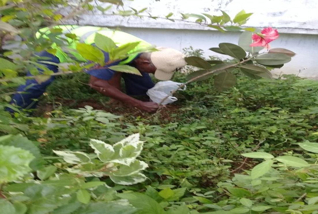 TranscargoCU's tweet photo. Acciones llevadas a cabo por trabajadores de la UEB Logística de Contenedores y Agenciamiento Aduanal por el día mundial del Medio Ambiente. https://t.co/YNmdqvHJ2Y