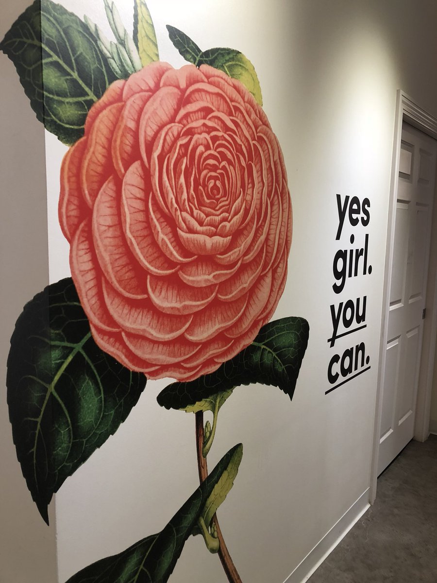 SignaramaPowell's tweet photo. Just finished this wall mural for @brosebeauty in Powell, go check it out! DM us with your own personalized designs and we’ll make it happen #murals #signarama https://t.co/lYddjo9zLG