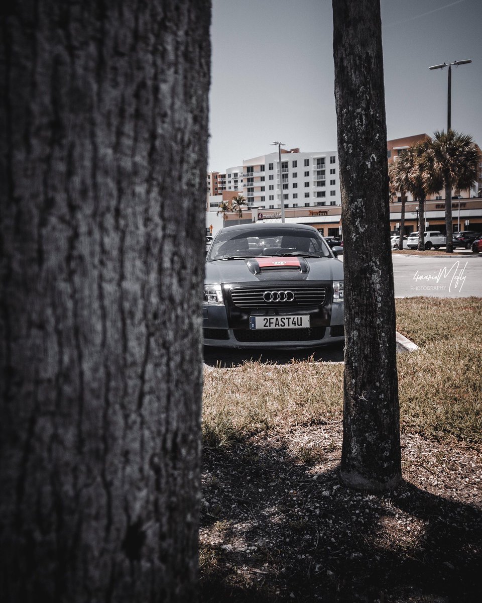 88martymcfly's tweet image. #2fast4u #miami #audi #cars #southflorida