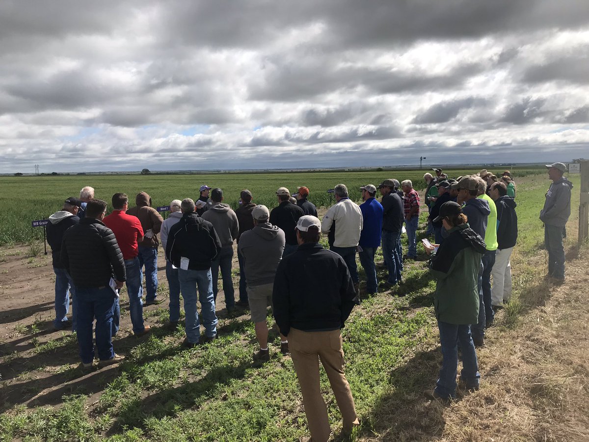 Thursday, 6/6/2019, 6:00 pm
Location: Palmer, Washington Co.
Contact: Tyler Husa, thusa@ksu.edu
Directions: Ohlde Seed Variety Trial Plots.  Location:  ½ mi. west of the Ohlde Seed Farms on 4th Rd. Supper: Provided by Ohlde Seed following the tour.