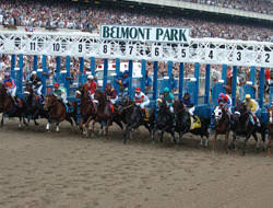 BCRacebook's tweet photo. The Belmont Stakes turns 151...who is your favorite horse of the day? Saturday June 8th...where is your favorite place to play? #bcracebook #hpibet #joevia #everfast #masterfencer #tax #bourbonwar #spinoff #sirwinston #intrepidheart #warofwill #tacitus๐ด https://t.co/OrOqhdxjMN