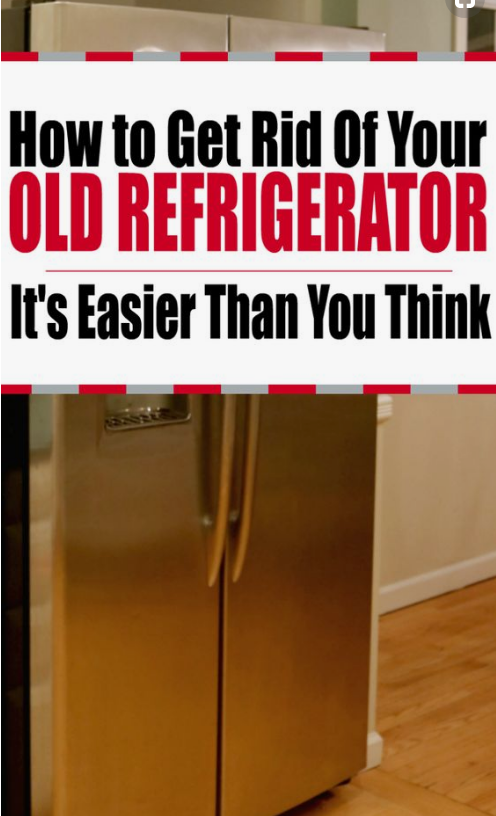 HomelessCoalit2's tweet photo. Why We Need Your Donation! A family in our program just lost their refrigerator and it will cost $600.00 to repair! @HomelessCoalit2 just hopes for a good condition refrigerator to be donated to ESHC❣️🙏 Thank you for your continuing support St. Johns Community. https://t.co/LjVMn1sDcA