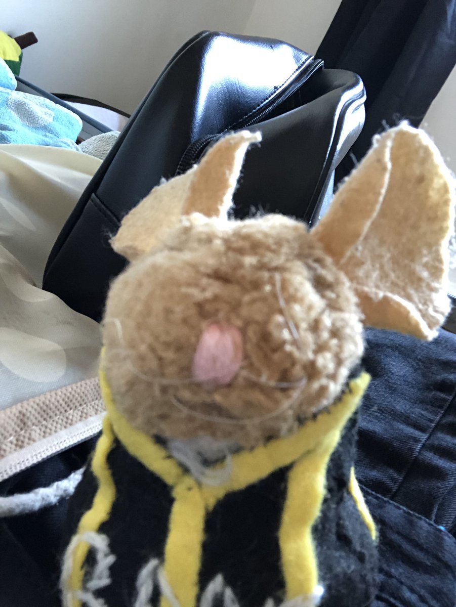 Alan Warwick tweet media