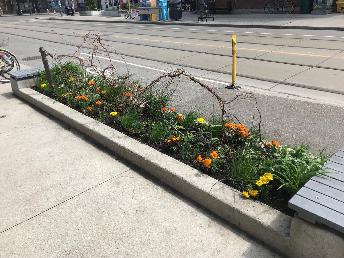 pollockshh's tweet photo. Here’s How you create colour on our street what a great job our volunteers from #Roncyworks do for the hood #pollockshh@ShopRoncy https://t.co/WGuqjz8UNG