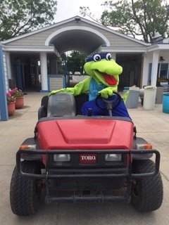 gcswimmingpool's tweet photo. Even Goggles is helping out with last minute details before Opening Day this Saturday! #GCPool #gardencityny https://t.co/fXlSWdhPlL