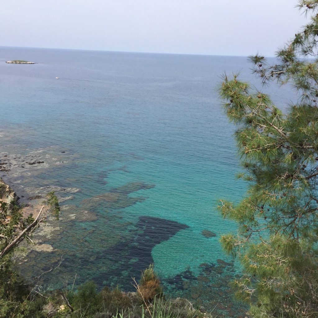 Cyprus4Holidays's tweet photo. 🏖🏊 Cyprus makes it to the top again!
In four countries, >95% #EUbathing sites had excellent #water quality in 2018:
🇨🇾 #Cyprus (99.1%)
🇲🇹 #Malta (98.9%)
🇦🇹 #Austria (97.3%)
🇬🇷 #Greece (97.0%)
More here: https://t.co/2Af5y5ez9a…
#Summer #swimming #beachlife #travel https://t.co/KS4D1Oiq0W