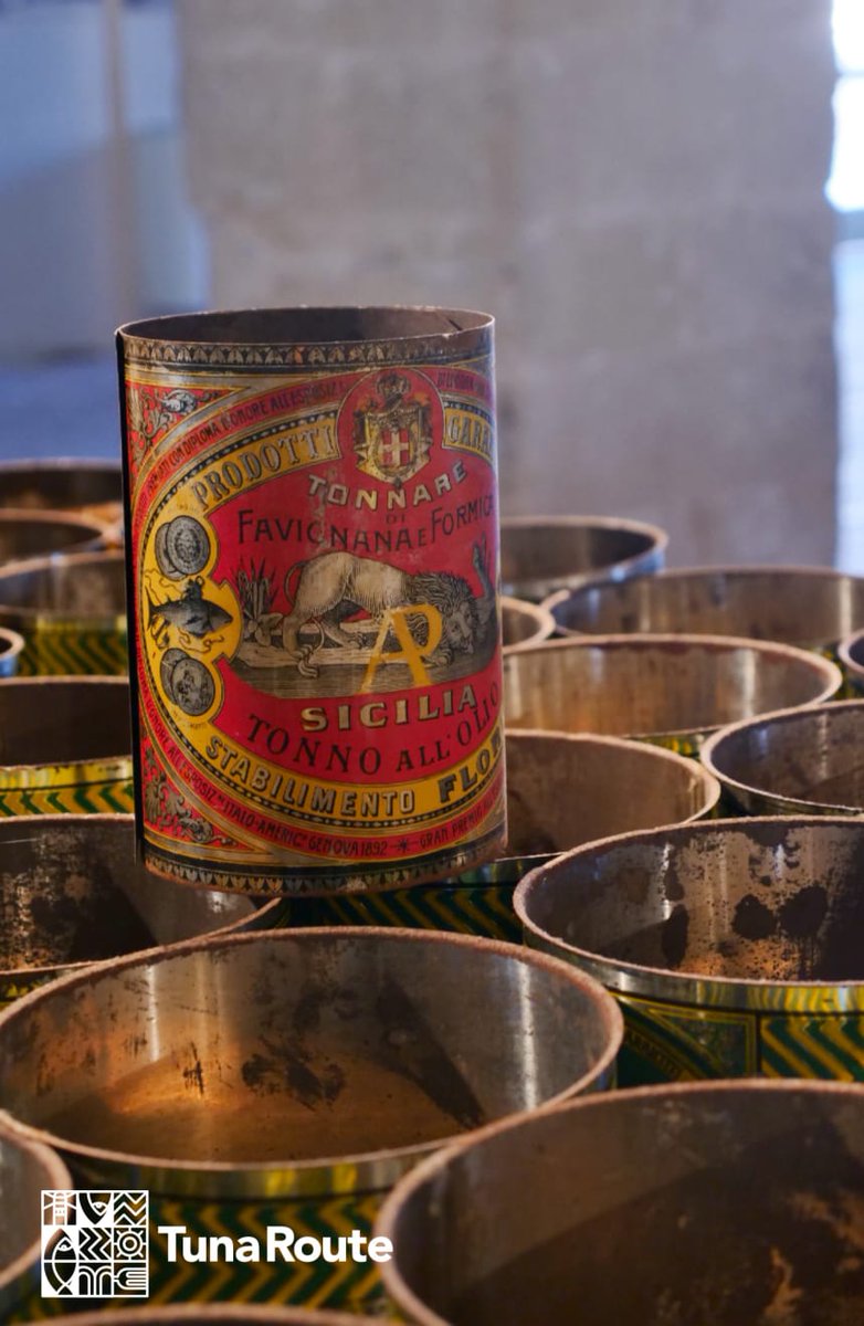 Tuna Route tweet media