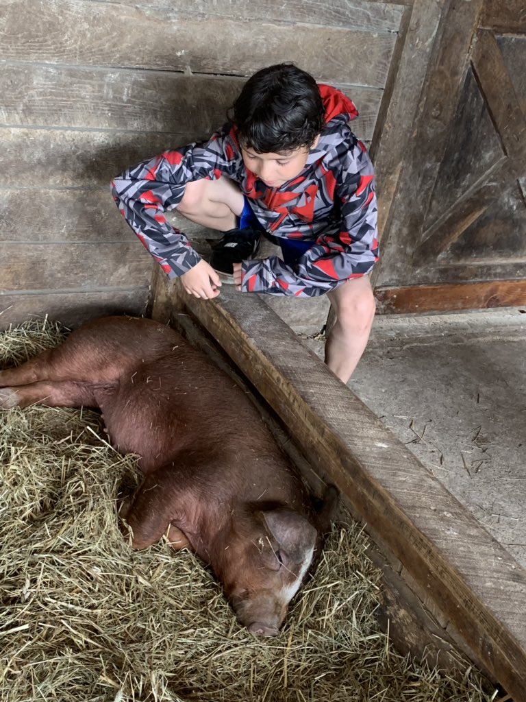 MWood113a's tweet photo. Had so much fun today on our field trip to the Children’s Farm! #sd114a #ESY https://t.co/wErk1PbaFj