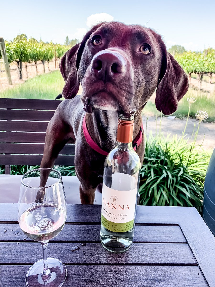 Thank you to our new, furry friend for being a HANNA fan!