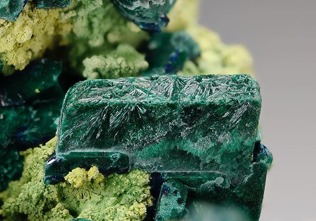 GeologyPage's tweet photo. Malachite pseudomorph after Azurite with Gartrellite | #Geology #GeologyPage

Locality: Tsumeb Mine, Tsumeb, Oshikoto Region (Otjikoto Region), Namibia

Dimensions: 6.2 × 5.8 × 4.5 cm

Photo Copyright © Crystal Classics

Geology Page
www.geologypage.… https://t.co/4wONiqf0Vz https://t.co/O1dw7wwRZl