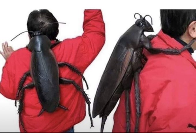 What I imagine when someone tells me &ldquo;you have a bug on the shoulder&rdquo; https://t.co/kTuhQ3BJ75<a href="/tag/mvsales"class="tags"><span>#mvsales</span></a><a href="/tag/mvboys"class="tags"><span>#mvboys</span></a>