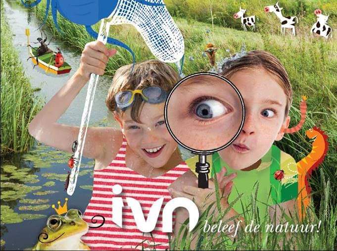 Zaterdag en zondag Nationale Slootjesdagen. IVN Oss doet mee met een wandeling op zondag 16 juni, aanvang 10, vertrek vanaf NME/Kinderboerderij De Elzenhoek in Oss. Waterdiertjes scheppen.
ivn.nl/afdeling/ivn-o…