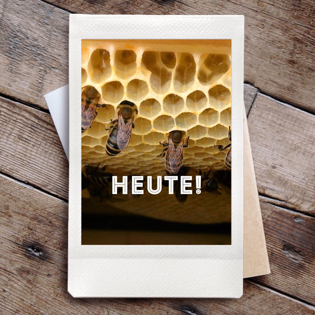 Heute ist unsere Imkerversammlung! ivbuu.de