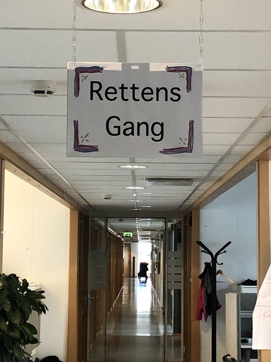 TorillChristine's tweet photo. Noen på jobben har døpt området systemjuristene sitter i for «Rettens Gang» Kan virke som noen savner analoge rettskilder mer enn andre 😊 #lovdata #lexDigitalis #RG #DigitalJurist #lovlab #lovkonferanse #DigitalTransformation https://t.co/y56CRPfOUL