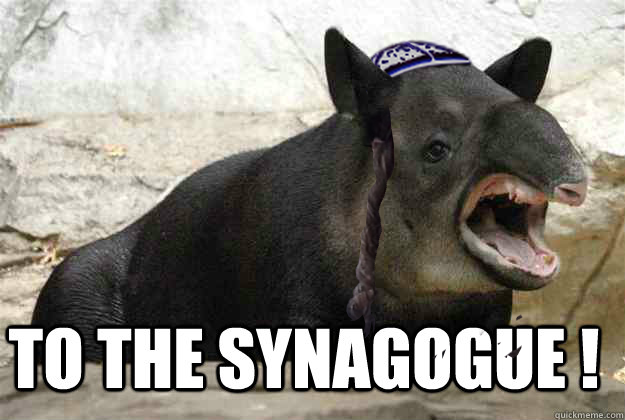 TrumpBeWithYou's tweet photo. @MasirahTV Israel be like https://t.co/r8L9fYpJpn