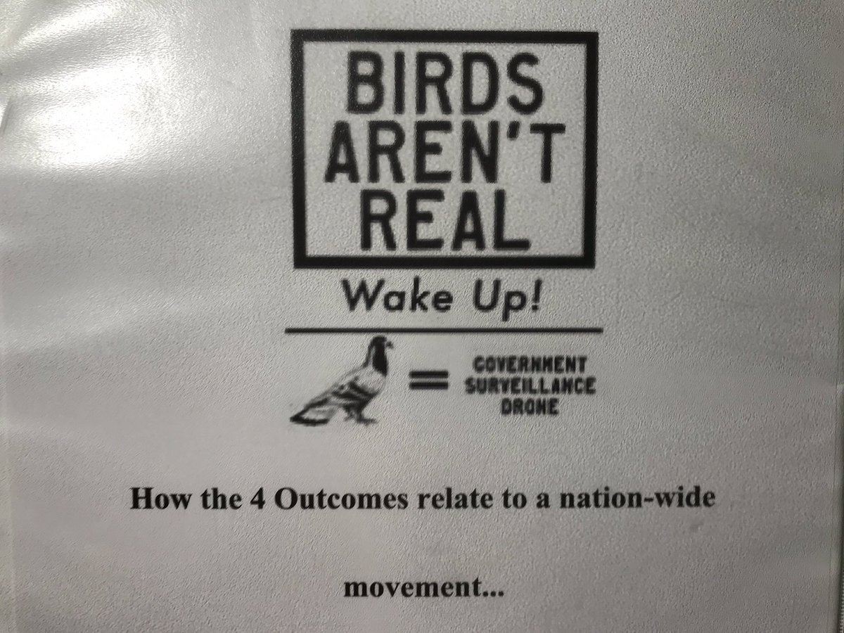 Michelle Fankhauser tweet media