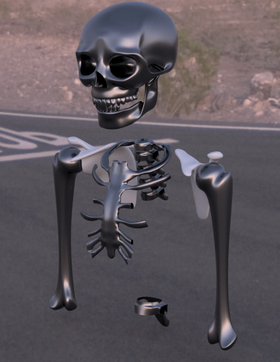 人間には215本も骨があるのよ 1本くらい何よ