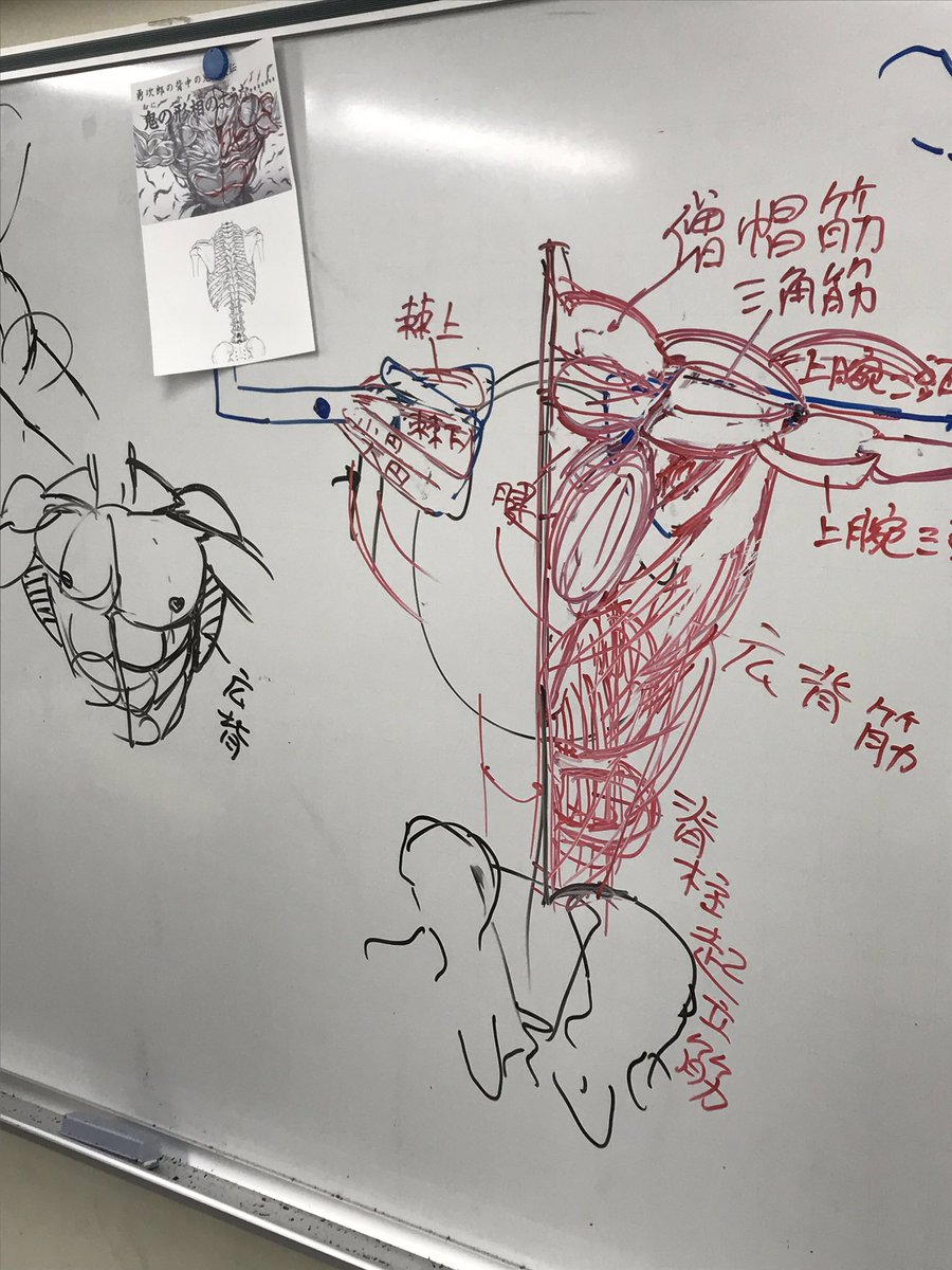 三澤 寛志 例大祭せ16ab 人体イラストの授業 範馬勇次郎の 鬼の背中 をお借りして背中の筋肉研究 実在する筋肉 を用いて表現しているのがスゴイ 肩まわりの筋肉が腕の動きにちゃんと連動している 三澤 寛志 例大祭せ16ab 人体イラストの授業 範馬勇次郎の 鬼の背中 をお借りして背中の筋肉研究 実在する筋肉 を用いて表現しているのがスゴイ 肩まわりの筋肉が腕の動きにちゃんと連動している