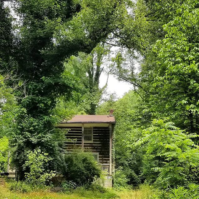 Like a child poking it's head out to take a peek at a stranger, this little cabin was only partially visible around the tree. I think I was more impressed with it than it was with me. - Shane 
#appalachia #iheartappy bit.ly/2RiZrBB