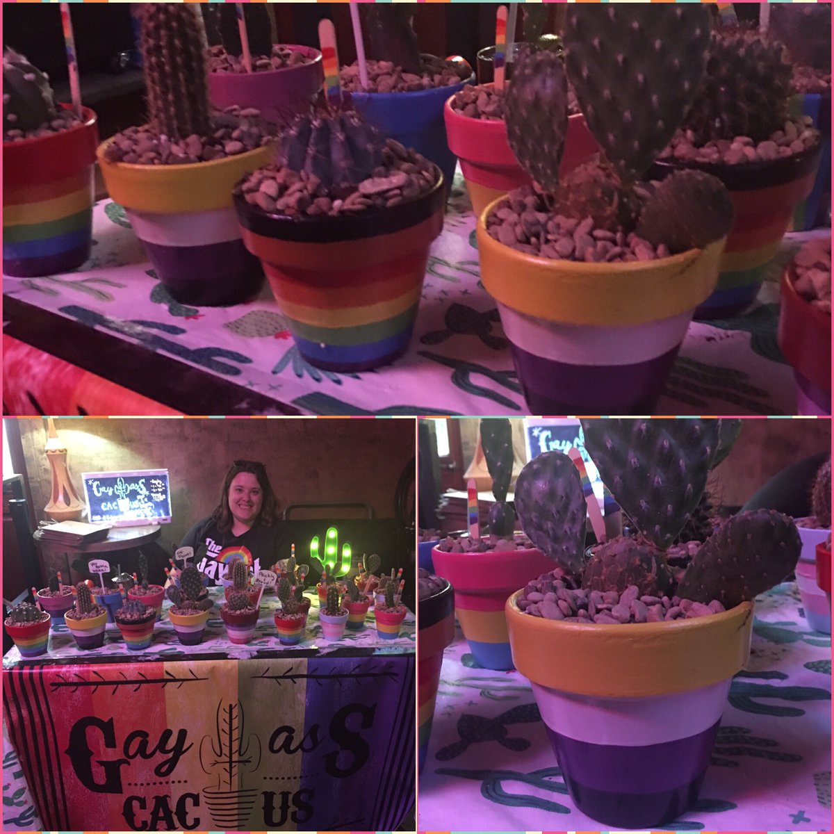 GayAssCactus's tweet photo. We’re celebrating pride with the best of them! Check out our #nonbinary pride pots!! Come adopt one @AndysBarDenton #glitterbomb https://t.co/kskeR21Cf9