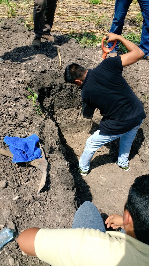 AnaCIMMYT's tweet photo. Calicata  para análisis de perfil de suelo, textura, materia orgánica y ph,  iniciando Agricultura de Conservación, en parcelas del CBTA 129 con docentes y técnicos de Axochiapan, Mor. #CIMMYT #MasAgro #AlianzasSustentables   #CIMMYTporMexico #HubPCTO @vmva1950 @SedagroMorelos https://t.co/tQvsZTXvLy