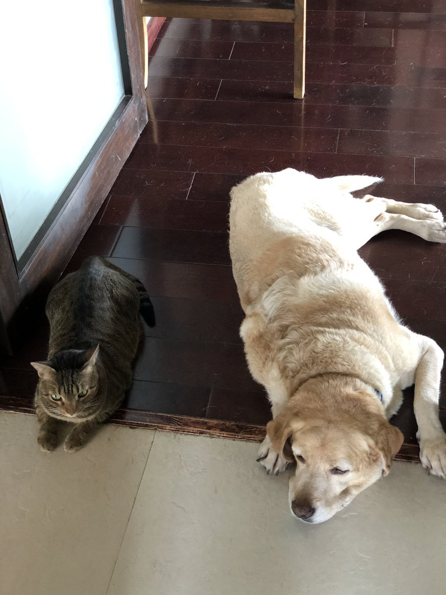 kunalkohli's tweet photo. #fridayfeeling #friends #waitingforbreakfast https://t.co/0oTt4bgIcd