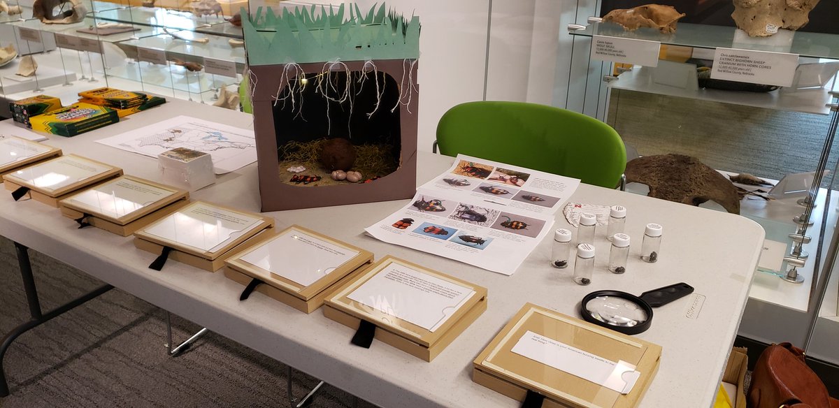 Alison Ludwig tweet media