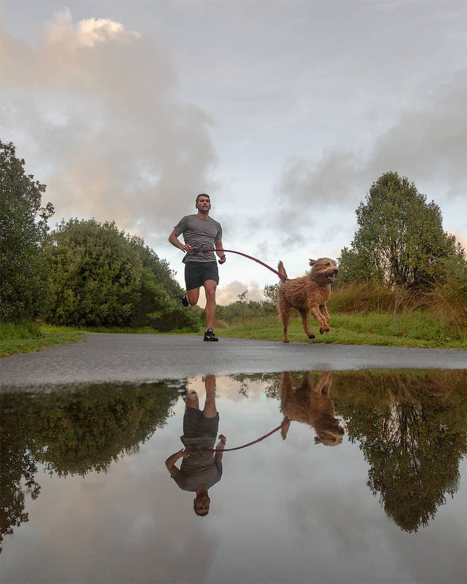 WildTaranaki's tweet photo. Have you explore the New Plymouth Coastal Walkway before? There is so much to see and do. Its also the perfect place for a walk with your canine friend 👟 🐶. Thanks for sharing Giles Stepney Photography  #WildTaranaki #Taranaki #NewPlymouthCoastalWalkway

https://t.co/68zLHTjMxa https://t.co/Zsl8ERMLEw