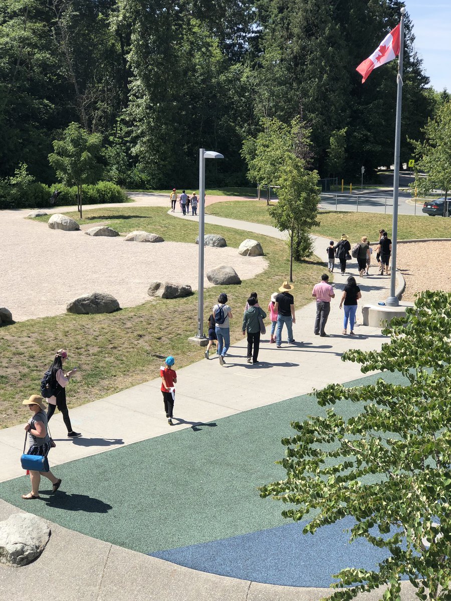 kmac_50's tweet image. Sword fern Celebration of Learning Picnic. Children taking their families on a nature walk and sharing their learning of indigenous plants @RosePointSchool @VSB39