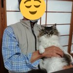 地震にびっくりして猫さんのしっぽがぽんぽこになる被害 怖いしびっくりするよね と労られる だっこして揺らしてあげるといい Togetter 地震にびっくりして猫さんのしっぽがぽんぽこになる被害 怖いしびっくりするよね と労られる だっこして揺らしてあげるといい Togetter