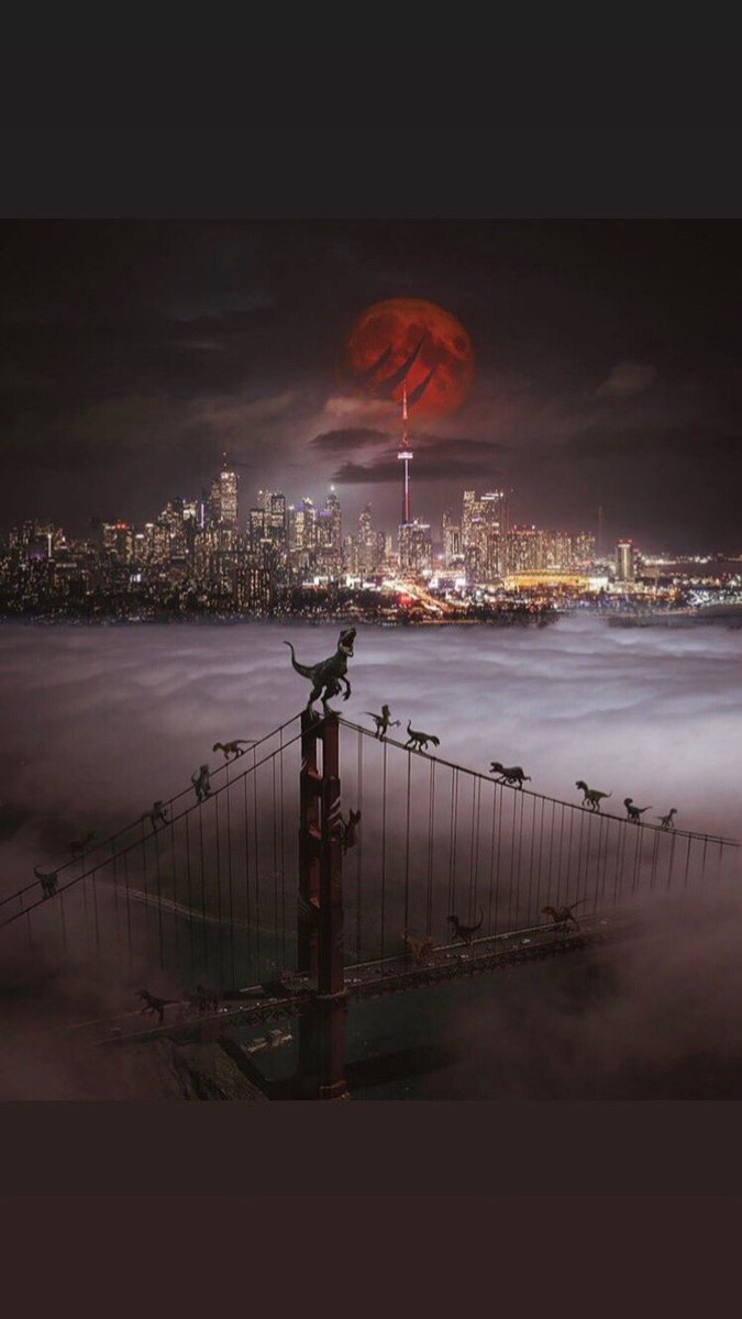 ⭐Satomi Fusaki⭐ (@satomifusaki) on Twitter photo 