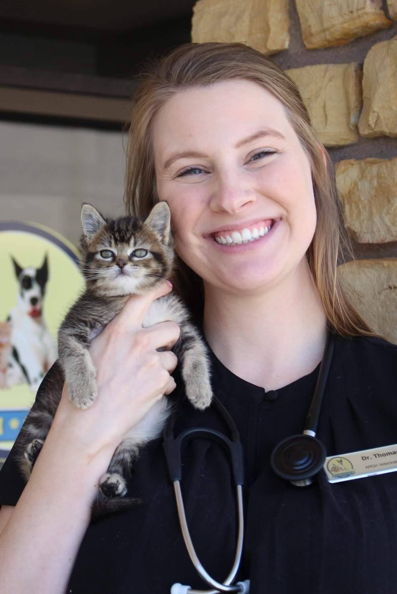 AMSHVets's tweet image. Welcome sweet baby Jolene to the AMSH family!🐾🐱 Jolene sure loved Dr. Thomas!😍

#AMSH #amshvets #tulsaoklahoma #brokenarrowoklahoma #vetmed #beautiful #cute #petsofinstagram #followus #repost #stunning #veterinarian #lifesaver #awwww #wecare #family #jolene