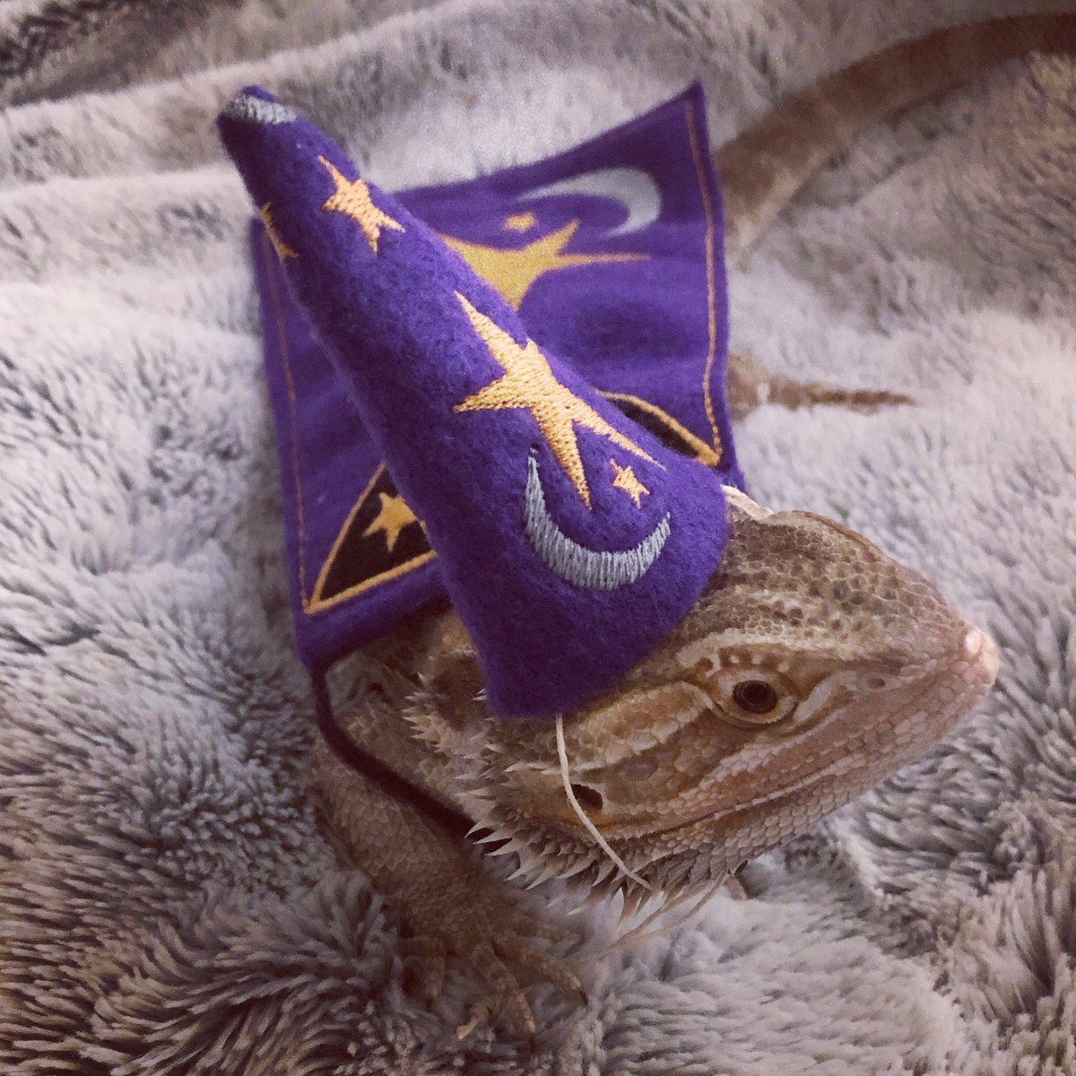 You know who it be, it’s that crazy ass mage, walking out the goblin fortress with my loaded 12 gauge. 
Groot asked if he can join The Rapping Wizards with <a href="/ders808/">Anders Holm</a> <a href="/ADAMDEVINE/">ADAMDEVINE</a> &amp; <a href="/UncleBlazer/">Blake Anderson</a> i told him he can be anything he wants to be. #youdoyouGroot