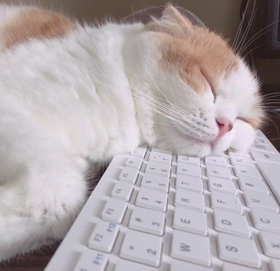 ♡ M ♡​||โชคดีและลาก่อน​ tweet media