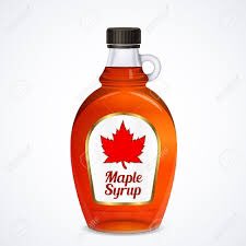 2019 NBA Champions: The Toronto Raptors
